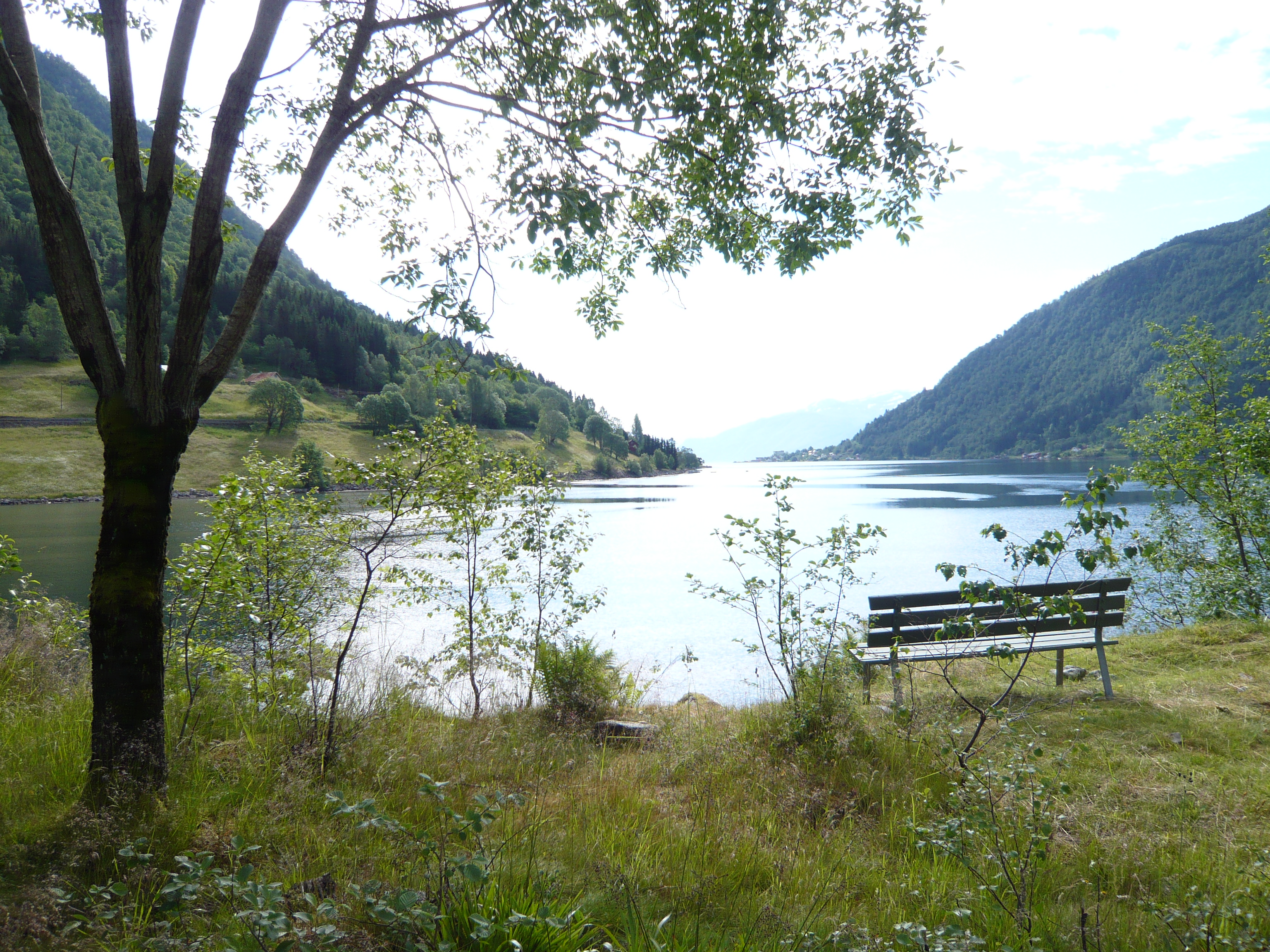 A bench looking out over a fjord in Norway