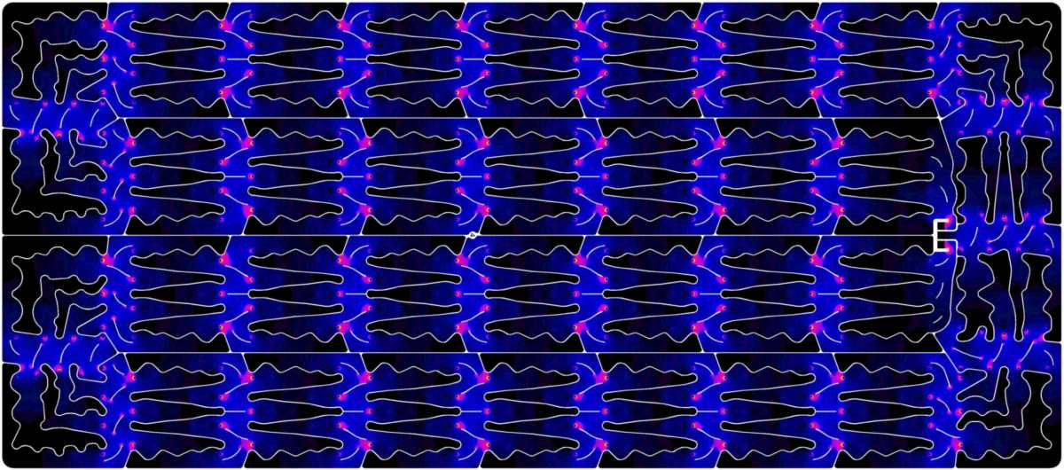 Simulation plot of the electrical current densities in a MWT solar panel backsheet