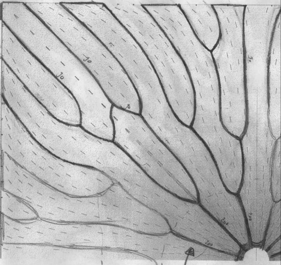 Concept sketch of the metallisation pattern of a metallisation-wrap-through (MWT) solar cell